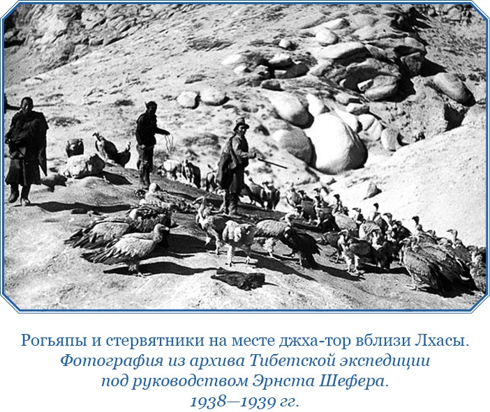 Иллюстрация к книге — Сибирь. Монголия. Китай. Тибет. Путешествия длиною в жизнь [i_114.jpg]