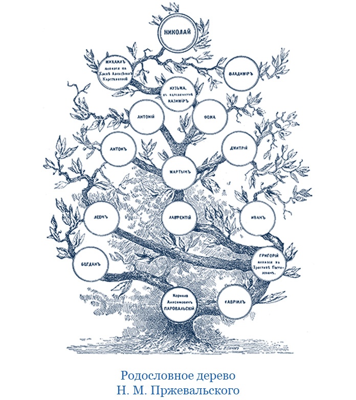 Иллюстрация к книге — Путешествия в Центральной Азии [i_004.jpg]