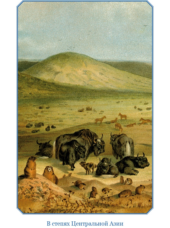 Иллюстрация к книге — Путешествия в Центральной Азии [i_018.jpg]