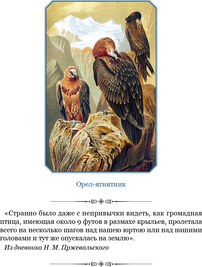 Иллюстрация к книге — Путешествия в Центральной Азии [i_028.jpg]