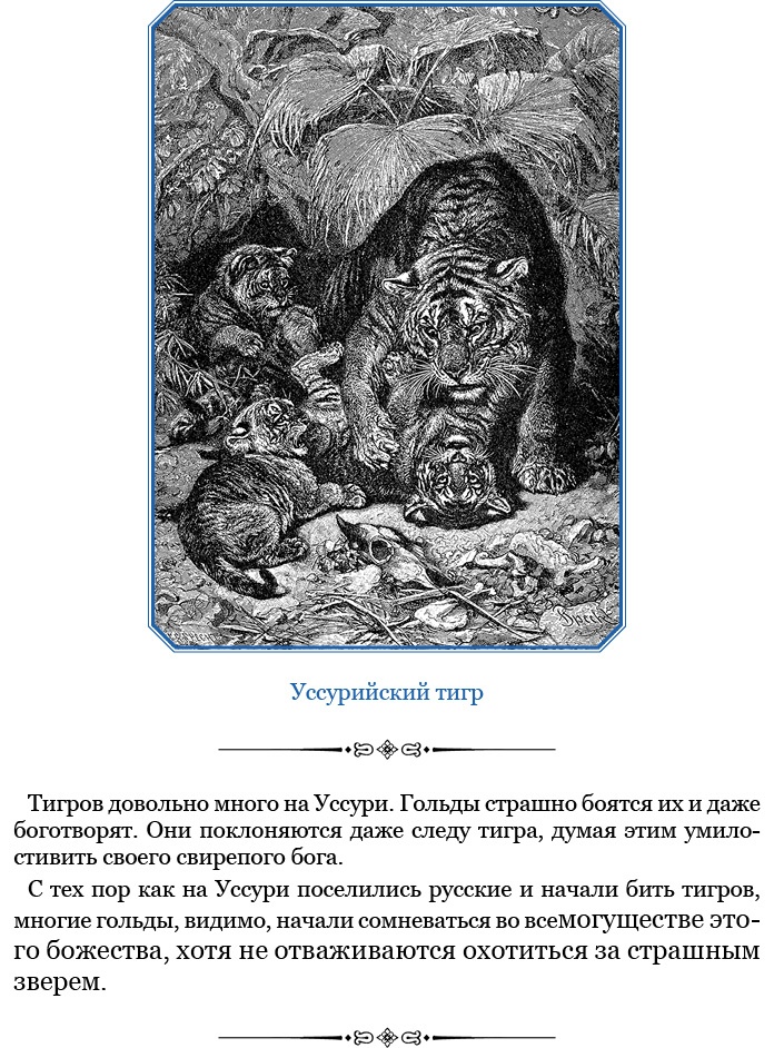 Иллюстрация к книге — Путешествия в Центральной Азии [i_041.jpg]