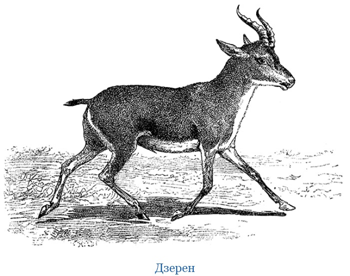 Иллюстрация к книге — Путешествия в Центральной Азии [i_060.jpg]