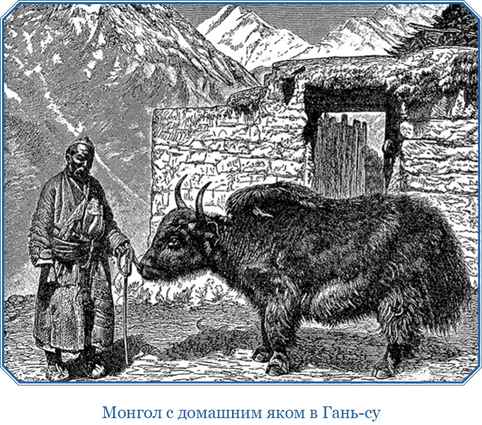 Иллюстрация к книге — Путешествия в Центральной Азии [i_065.jpg]