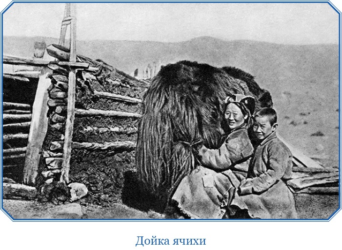 Иллюстрация к книге — Путешествия в Центральной Азии [i_068.jpg]