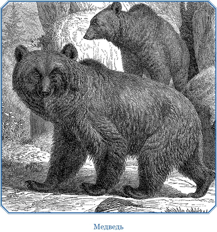 Иллюстрация к книге — Путешествия в Центральной Азии [i_075.jpg]