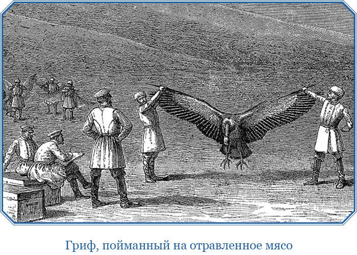 Иллюстрация к книге — Путешествия в Центральной Азии [i_095.jpg]