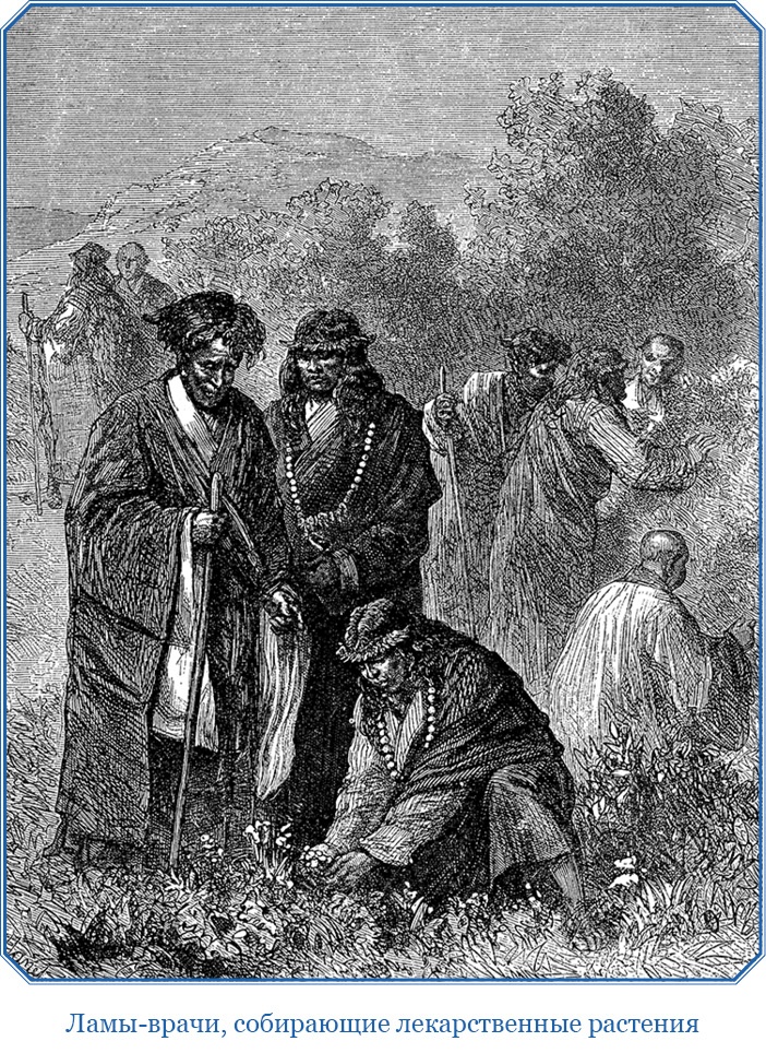 Иллюстрация к книге — Путешествия в Центральной Азии [i_114.jpg]