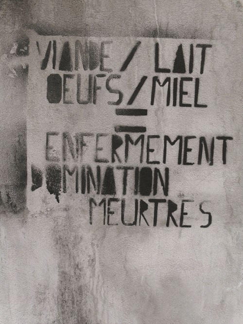 Иллюстрация к книге — Прекрасная Франция [i_006.jpg]