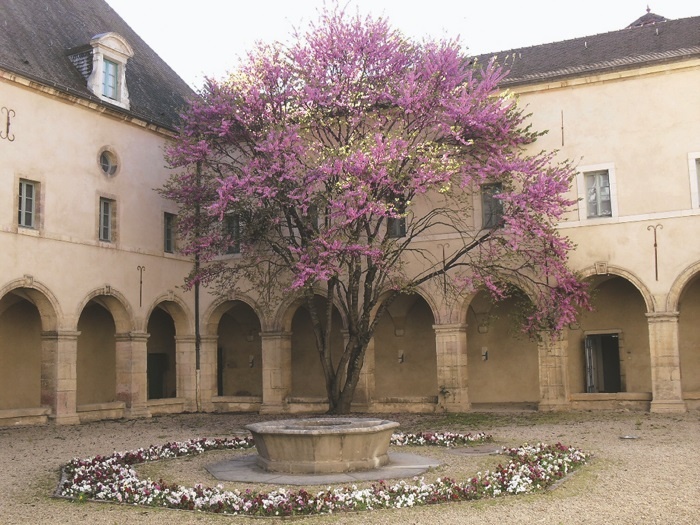 Иллюстрация к книге — Прекрасная Франция [i_136.jpg]