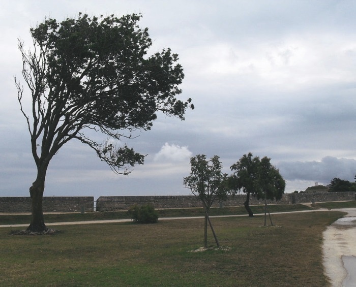 Иллюстрация к книге — Прекрасная Франция [i_165.jpg]