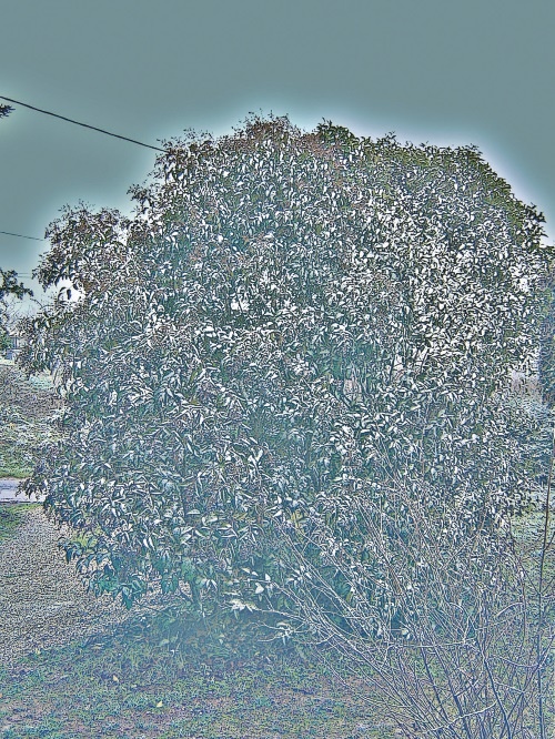 Иллюстрация к книге — Прекрасная Франция [i_166.jpg]