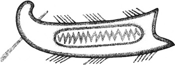 Иллюстрация к книге — Путешествие на "Брендане". По пути Ясона. Экспедиция "Улисс" [img04.jpg]
