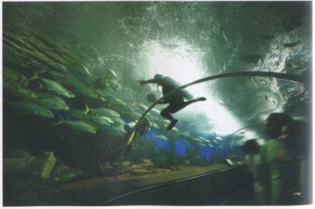 Иллюстрация к книге — Сингапур. Восьмое чудо света [i_015.jpg]