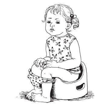 Иллюстрация к книге — Развитие ребенка. Второй год жизни. Практический курс для родителей [i_009.jpg]