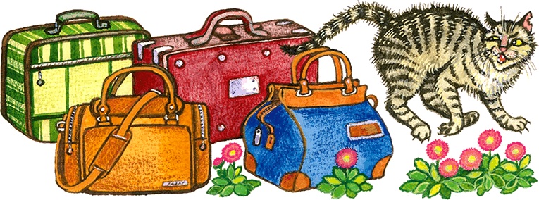 Иллюстрация к книге — Новые приключения кошки Нюси. Сокровища короля Андраша [i_017.jpg]