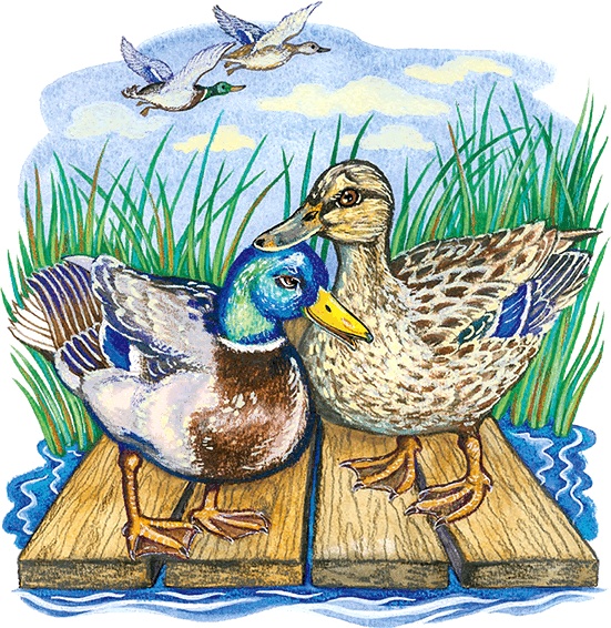 Иллюстрация к книге — Новые приключения кошки Нюси. Сокровища короля Андраша [i_062.jpg]