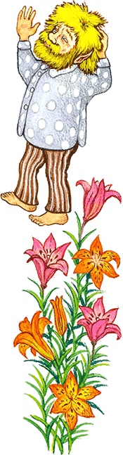 Иллюстрация к книге — Новые приключения кошки Нюси. Сокровища короля Андраша [i_066.jpg]