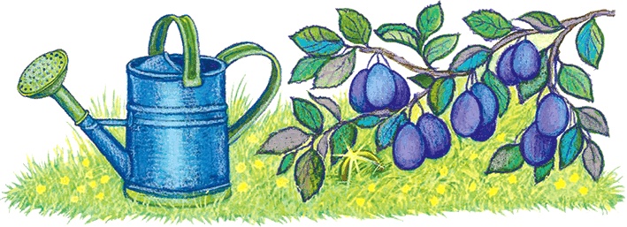 Иллюстрация к книге — Новые приключения кошки Нюси. Сокровища короля Андраша [i_075.jpg]