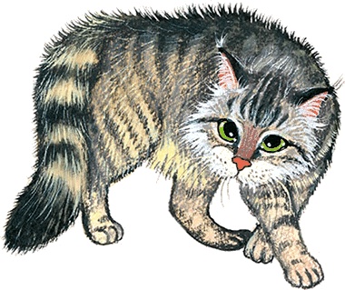 Иллюстрация к книге — Новые приключения кошки Нюси. Сокровища короля Андраша [i_076.jpg]