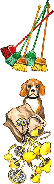 Иллюстрация к книге — Новые приключения кошки Нюси. Сокровища короля Андраша [i_080.jpg]