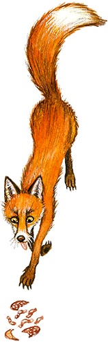 Иллюстрация к книге — Новые приключения кошки Нюси. Сокровища короля Андраша [i_091.jpg]