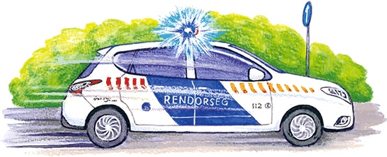 Иллюстрация к книге — Новые приключения кошки Нюси. Сокровища короля Андраша [i_092.jpg]