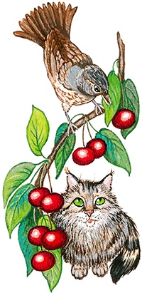 Иллюстрация к книге — Новые приключения кошки Нюси. Сокровища короля Андраша [i_096.jpg]