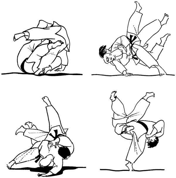 Иллюстрация к книге — Секреты самураев. Боевые искусства феодальной Японии [i_217.jpg]