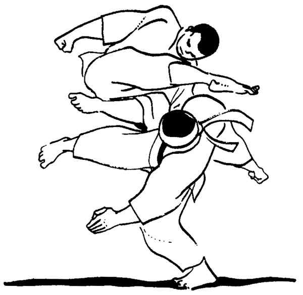 Иллюстрация к книге — Секреты самураев. Боевые искусства феодальной Японии [i_225.jpg]