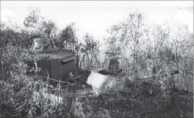 Иллюстрация к книге — Бронекатера Сталина. "Речные танки" Великой Отечественной [i_060.jpg]