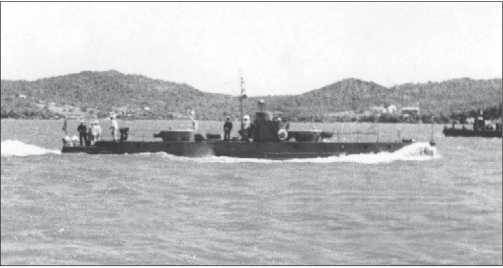 Иллюстрация к книге — Бронекатера Сталина. "Речные танки" Великой Отечественной [i_070.jpg]