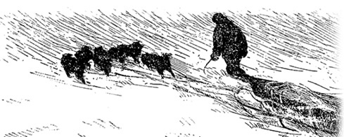 Иллюстрация к книге — Дневники полярного капитана [i_018.jpg]