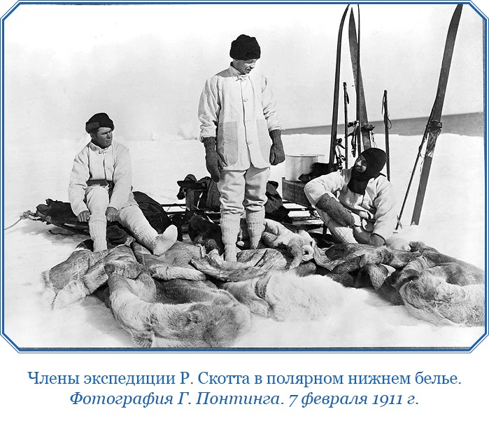 Иллюстрация к книге — Дневники полярного капитана [i_049.jpg]