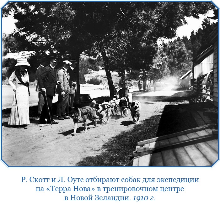 Иллюстрация к книге — Дневники полярного капитана [i_053.jpg]