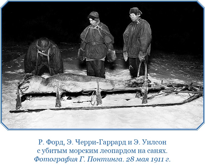 Иллюстрация к книге — Дневники полярного капитана [i_073.jpg]