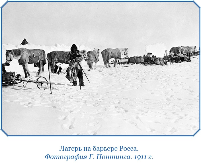 Иллюстрация к книге — Дневники полярного капитана [i_096.jpg]