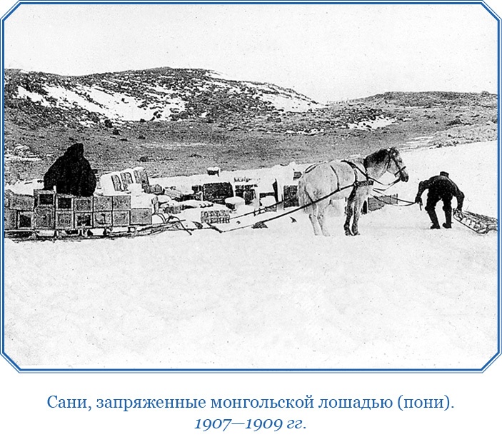 Иллюстрация к книге — Дневники полярного капитана [i_133.jpg]