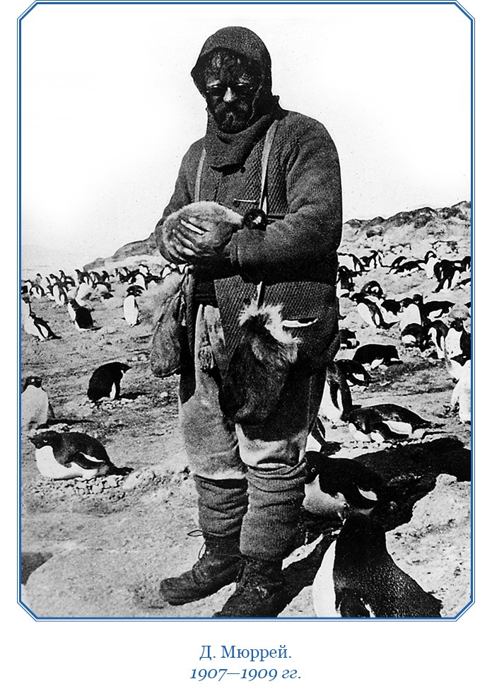 Иллюстрация к книге — Дневники полярного капитана [i_139.jpg]