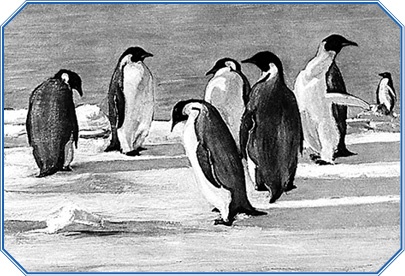 Иллюстрация к книге — Дневники полярного капитана [i_143.jpg]