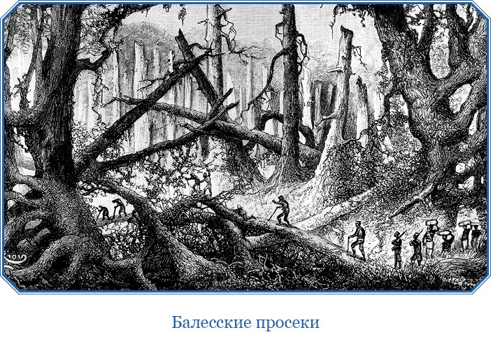 Иллюстрация к книге — В дебрях Африки [i_044.jpg]