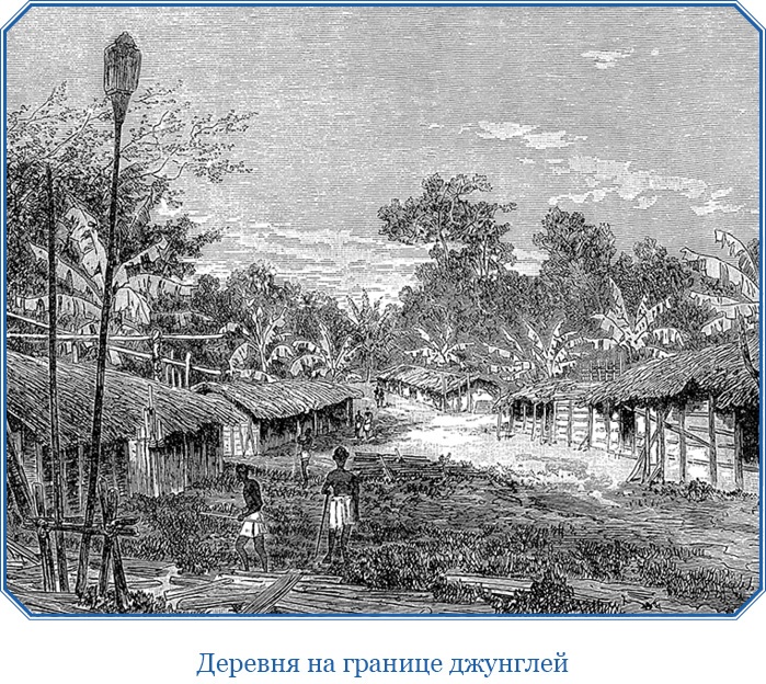 Иллюстрация к книге — В дебрях Африки [i_045.jpg]