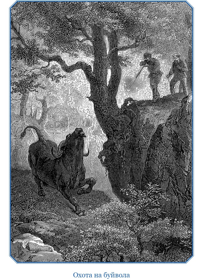 Иллюстрация к книге — В дебрях Африки [i_056.jpg]