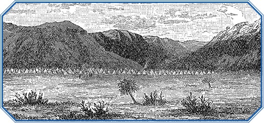 Иллюстрация к книге — В дебрях Африки [i_057.jpg]