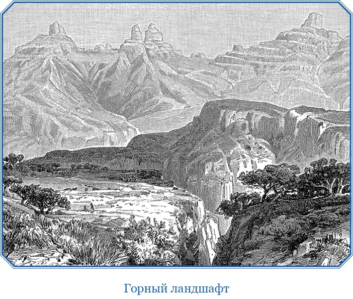 Иллюстрация к книге — В дебрях Африки [i_061.jpg]