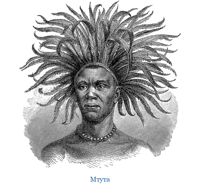 Иллюстрация к книге — В дебрях Африки [i_062.jpg]