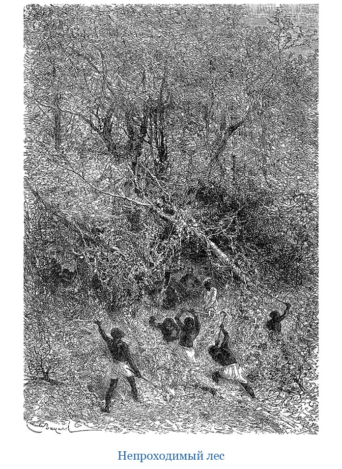 Иллюстрация к книге — В дебрях Африки [i_077.jpg]