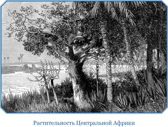 Иллюстрация к книге — В дебрях Африки [i_087.jpg]