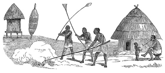 Иллюстрация к книге — В дебрях Африки [i_090.jpg]