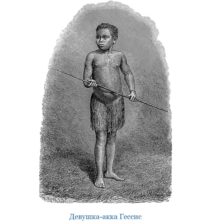 Иллюстрация к книге — В дебрях Африки [i_092.jpg]