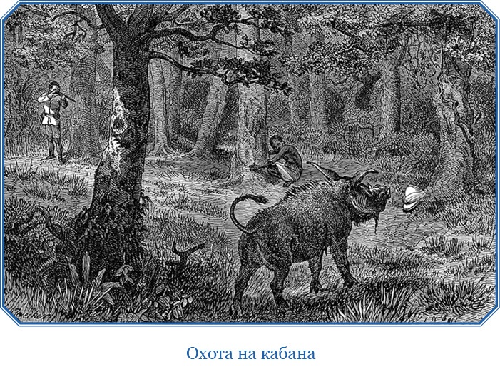 Иллюстрация к книге — В дебрях Африки [i_093.jpg]